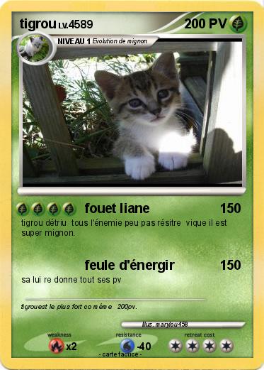 Pokemon tigrou
