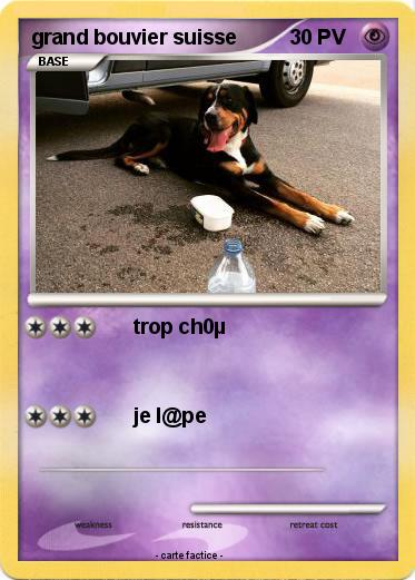 Pokemon grand bouvier suisse