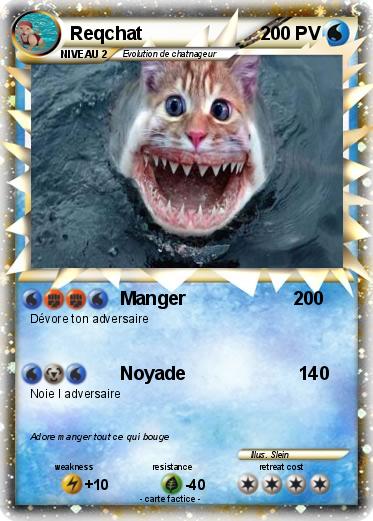 Pokemon Reqchat