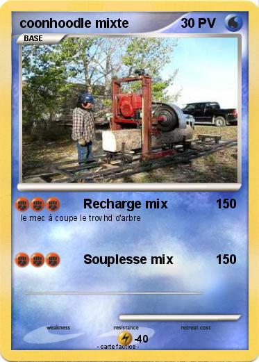 Pokemon coonhoodle mixte