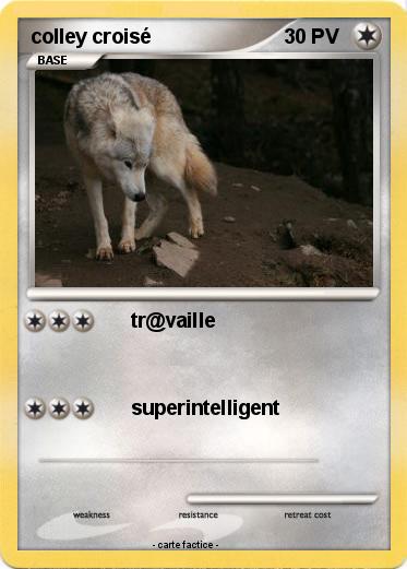 Pokemon colley croisé