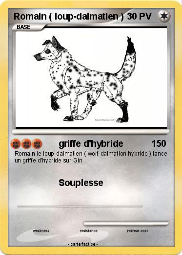 Pokemon Romain ( loup-dalmatien )