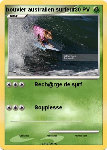 Pokemon bouvier australien surfeur