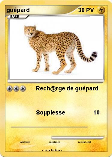 Pokemon guèpard
