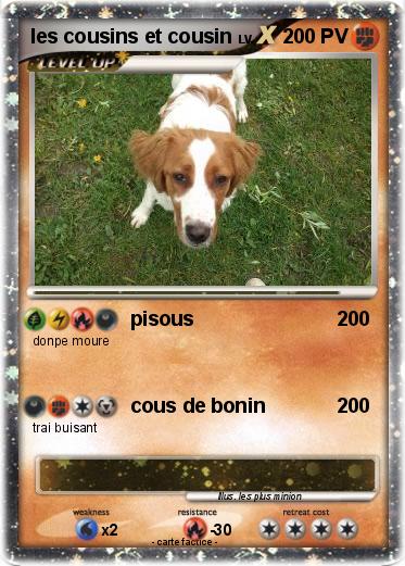 Pokemon les cousins et cousin