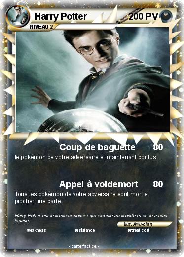 Pokemon Harry Potter