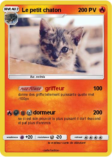 Pokemon Le petit chaton