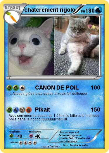 Pokemon chatcrement rigolo