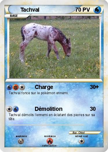 Pokemon Tachval