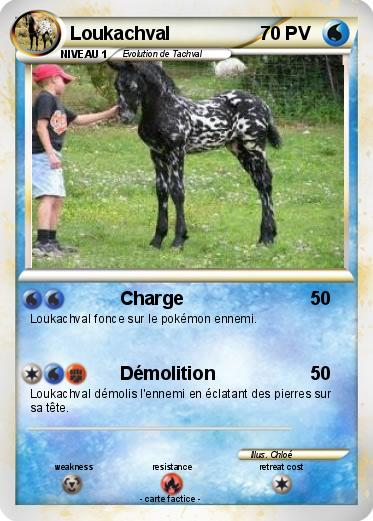 Pokemon Loukachval