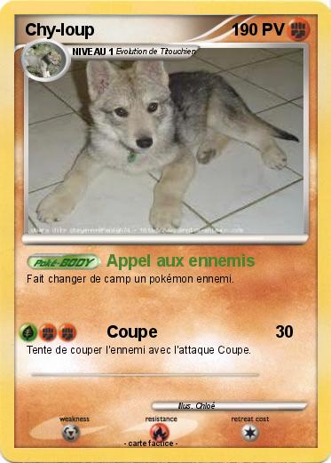 Pokemon Chy-loup