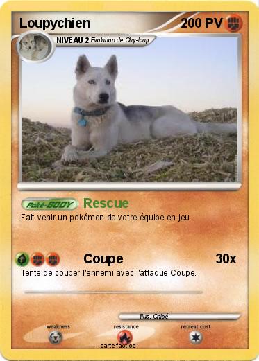 Pokemon Loupychien