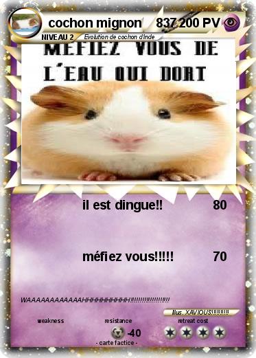 Pokemon cochon mignon    837
