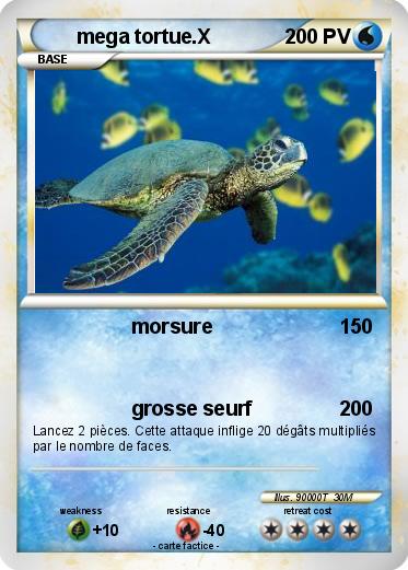 Pokemon mega tortue.X