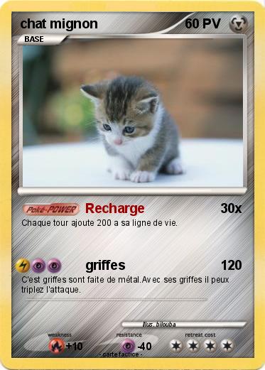 Pokemon chat mignon