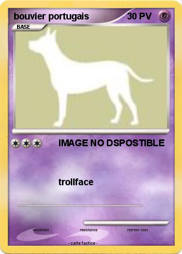 Pokemon bouvier portugais