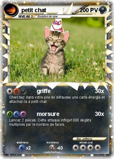 Pokemon petit chat