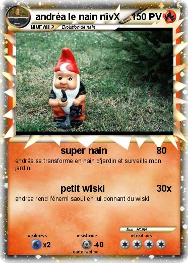 Pokemon andréa le nain nivX