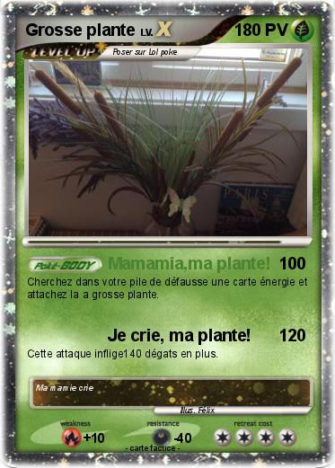 Pokemon Grosse plante