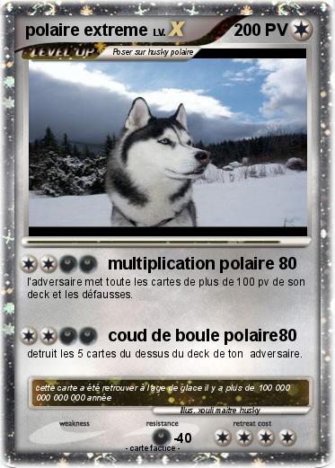 Pokemon polaire extreme