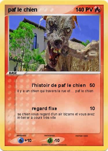 Pokemon paf le chien