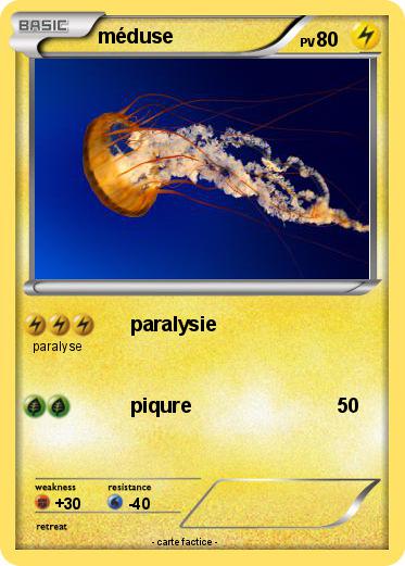 Pokemon méduse