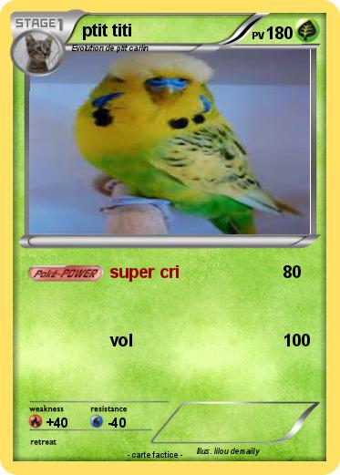Pokemon ptit titi