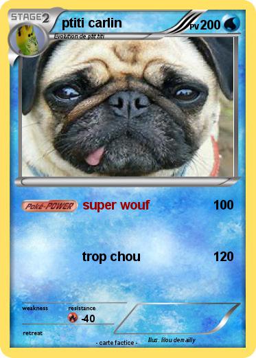 Pokemon ptiti carlin