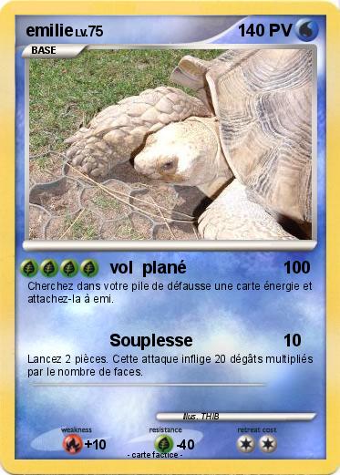 Pokemon emilie