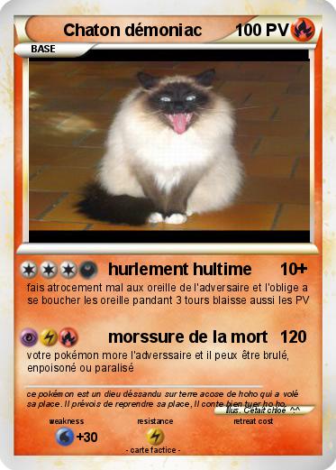 Pokemon Chaton démoniac
