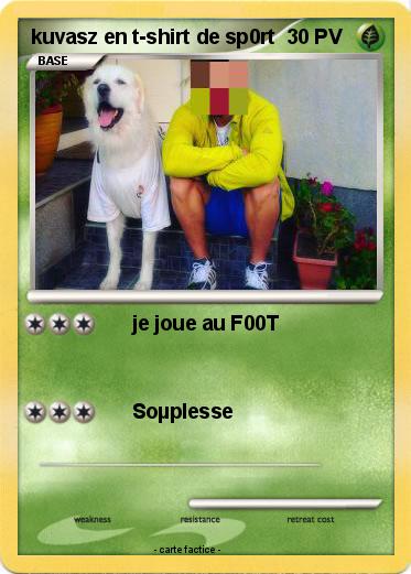 Pokemon kuvasz en t-shirt de sp0rt