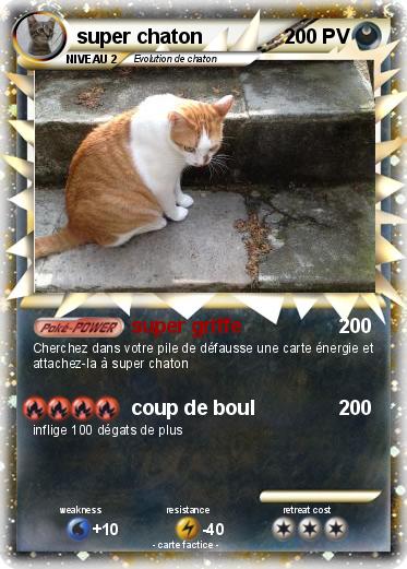 Pokemon super chaton
