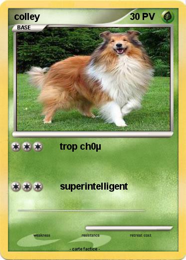 Pokemon colley