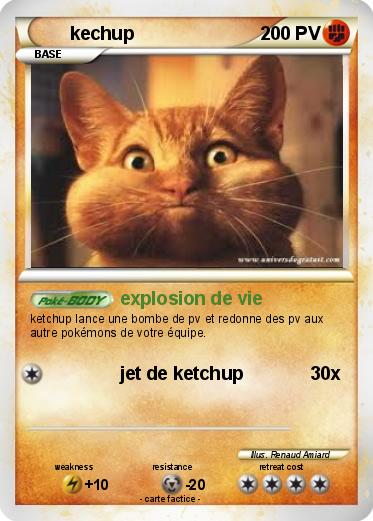 Pokemon kechup