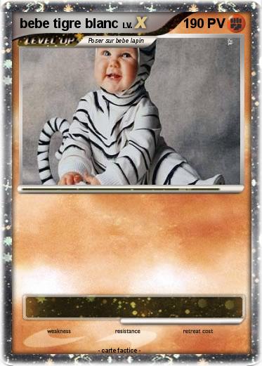 Pokemon bebe tigre blanc