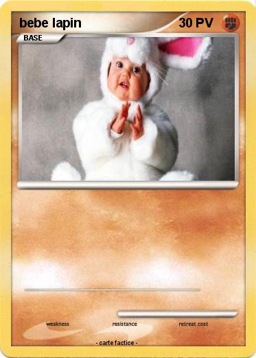 Pokemon bebe lapin
