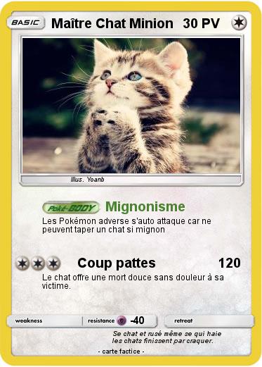 Pokemon Maître Chat Minion