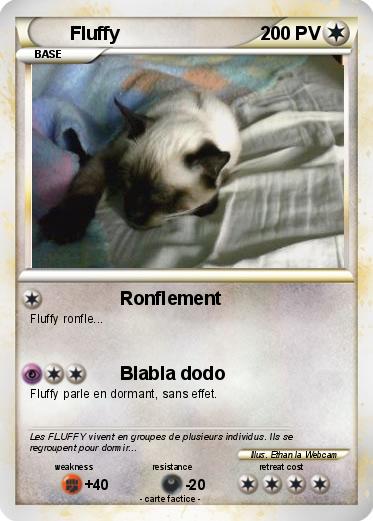 Pokemon Fluffy