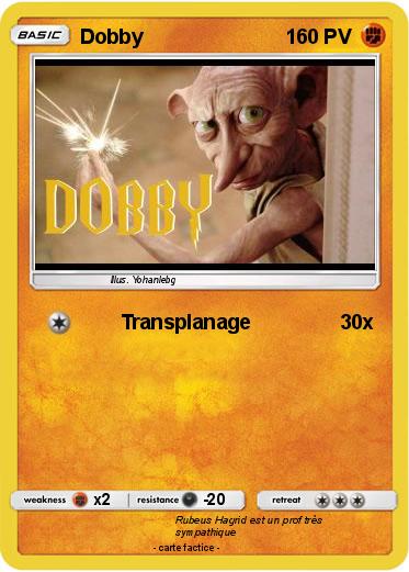 Pokemon Dobby