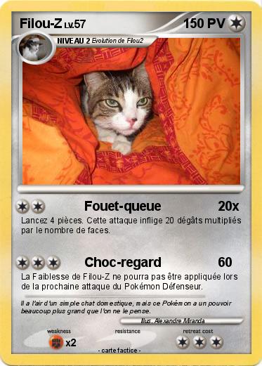 Pokemon Filou-Z