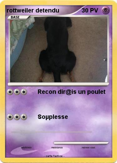 Pokemon rottweiler detendu