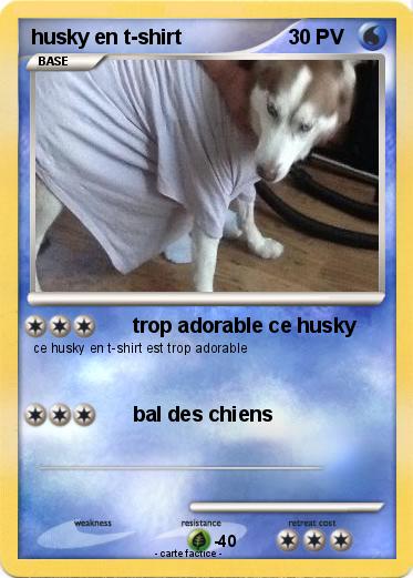 Pokemon husky en t-shirt