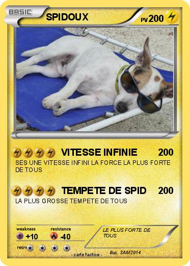 Pokemon SPIDOUX