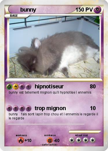 Pokemon bunny