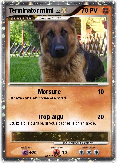 Pokemon Terminator mimi