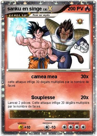 Pokemon sanku en singe