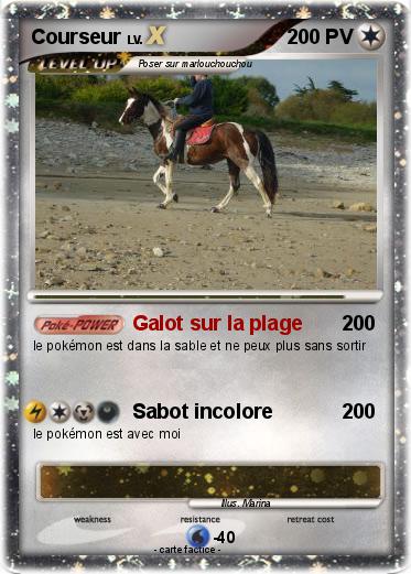 Pokemon Courseur