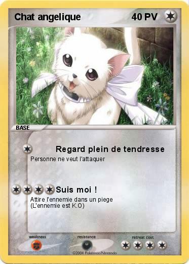 Pokemon Chat angelique