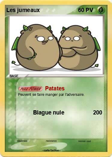 Pokemon Les jumeaux