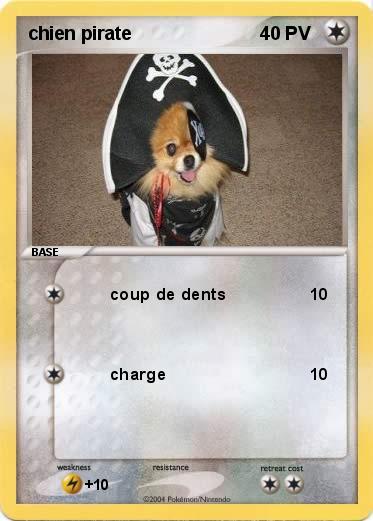 Pokemon chien pirate